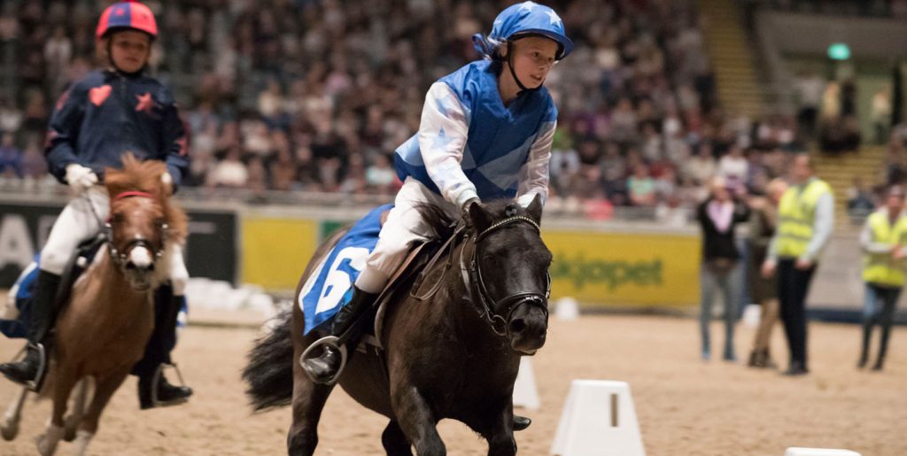 MELD DEG PÅ SHETTIS-GALOPPEN 2019