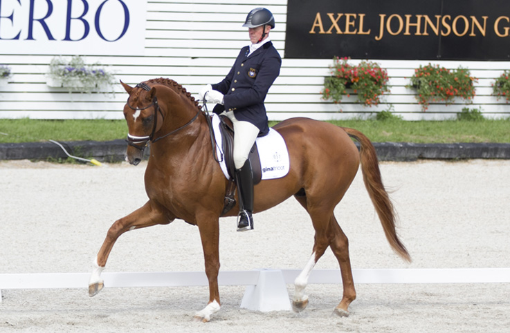 Clinic med Jan Brink