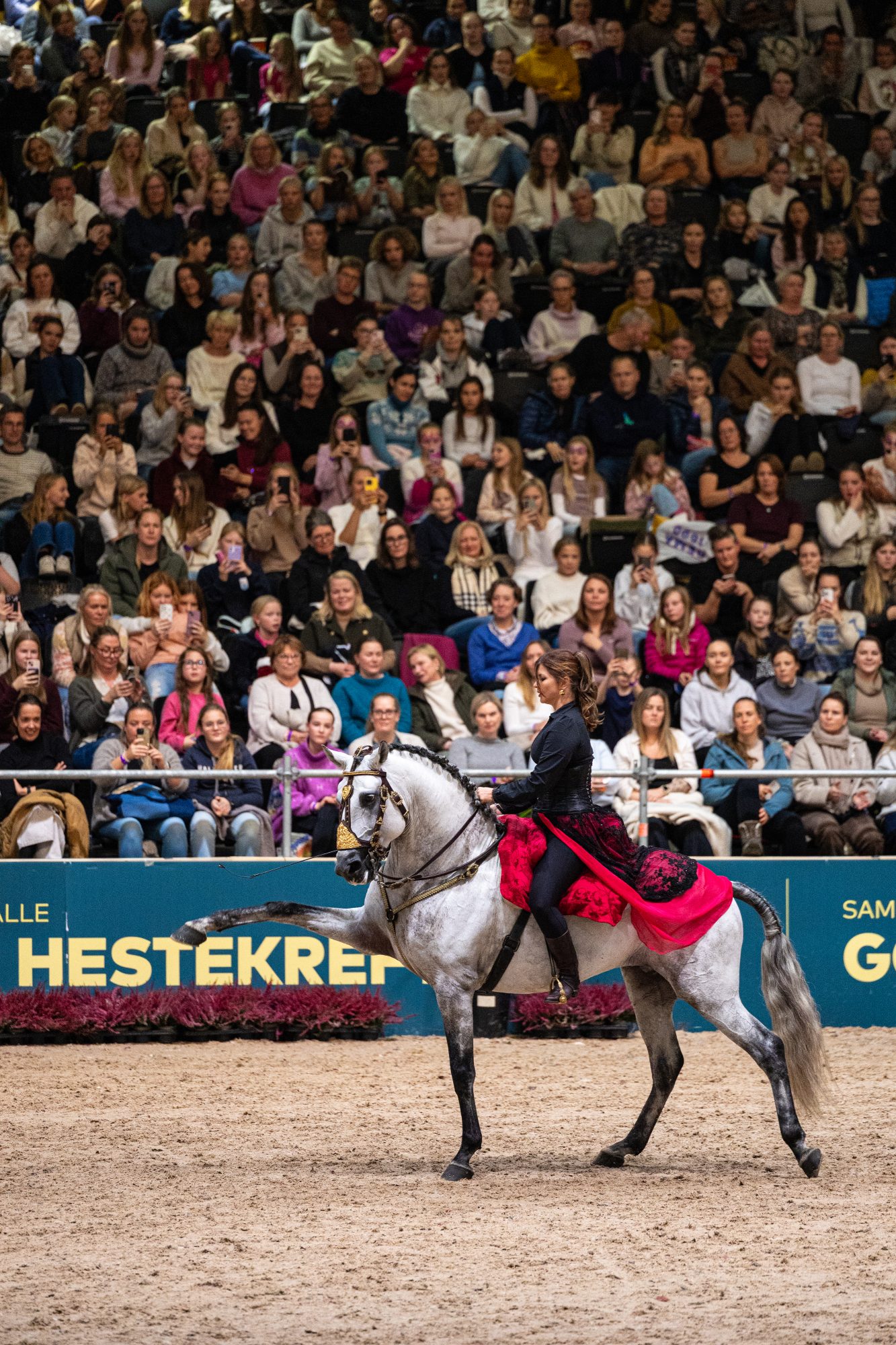 Familieshow_Photo_Helene Gjerde Aamdal-5
