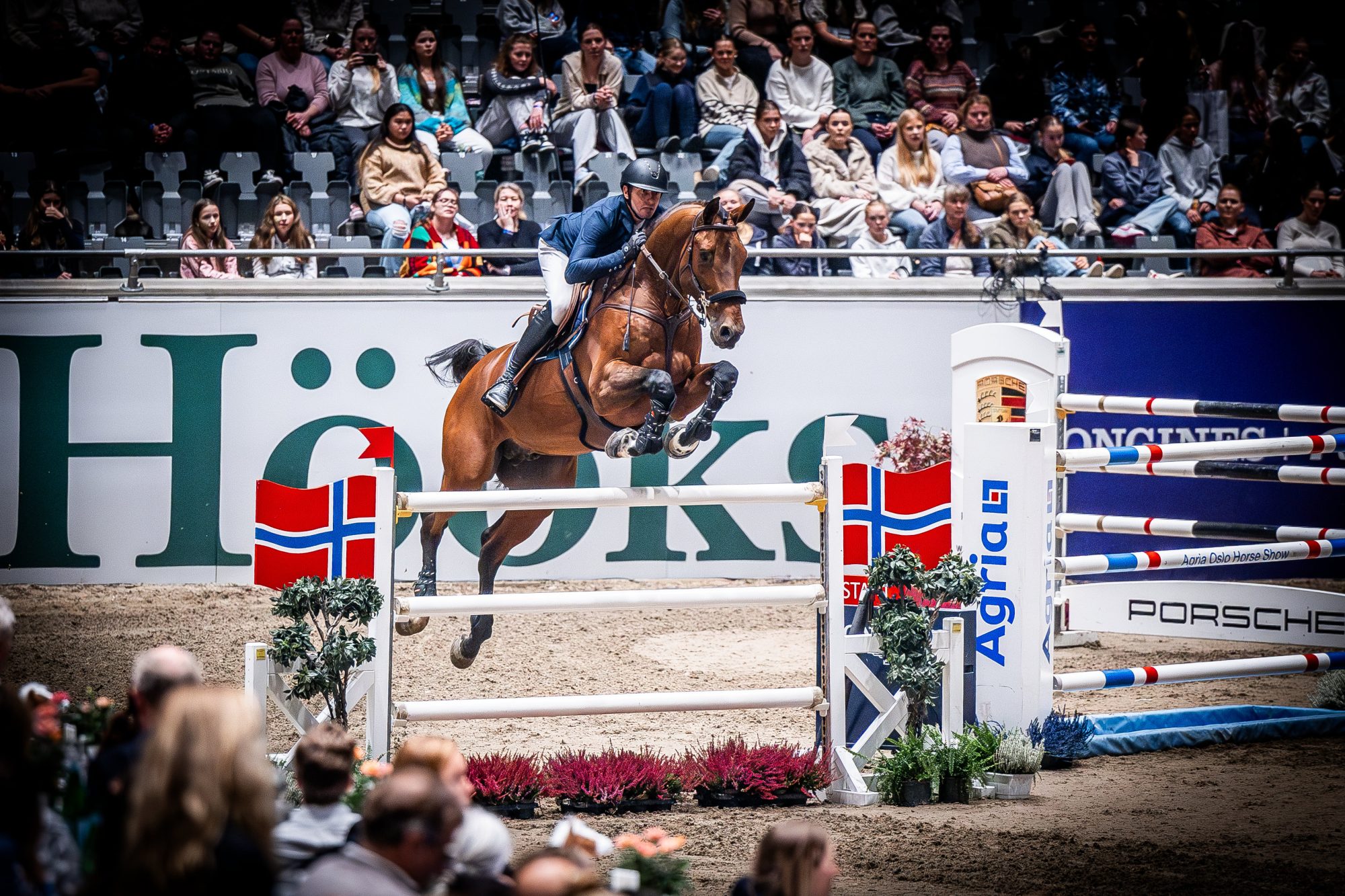 equestrian